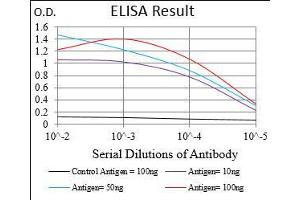 Black line: Control Antigen (100 ng), Purple line: Antigen(10 ng), Blue line: Antigen (50 ng), Red line: Antigen (100 ng), (SMCP antibody  (AA 1-116))