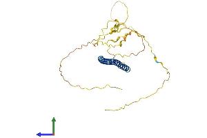 Protein Structure (PS) image for FOS-Like Antigen 1 (FOSL1) (AA 1-271) protein (His tag) (ABIN7547730)