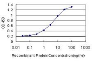 Detection limit for recombinant GST tagged RNF6 is approximately 0. (RNF6 antibody  (AA 1-100))
