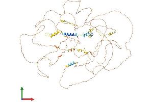 AlphaFold protein structure predicition of Mouse Recombinant Bclaf1 Protein, UniprotID Q8K019 (BCLAF1 Protein (AA 1-919) (His tag))