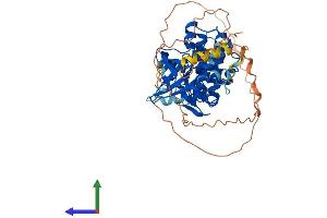 AlphaFold protein structure predicition of Mouse Recombinant Smok1 Protein, UniprotID Q9QYZ4