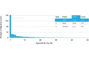 Analysis of Protein Array containing more than 19,000 full-length human proteins using Serum Amyloid P Mouse Monoclonal Antibody (APCS/3240). (APCS antibody  (AA 143-223))