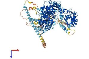 AlphaFold protein structure predicition of Human Recombinant DDX11L8 Protein, UniprotID A8MPP1 (DDX11L8 Protein (AA 1-907) (His tag))