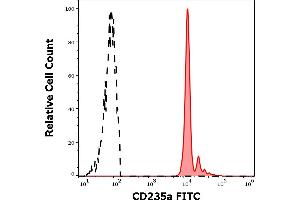 Separation of human red blood cells (red-filled) from lymphocytes (black-dashed) in flow cytometry analysis (surface staining) of human peripheral whole blood stained using anti-human CD235a (JC159) FITC antibody (4 μL reagent / 100 μL of peripheral whole blood). (CD235a/GYPA antibody  (FITC))