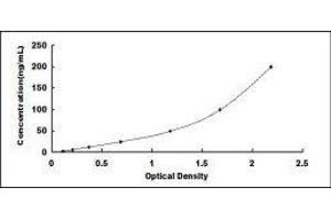 ELISA image for Lipopolysaccharide Binding Protein (LBP) ELISA Kit (ABIN414694) (LBP ELISA Kit)