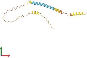 AlphaFold protein structure predicition of Human Recombinant GTSCR1 Protein, UniprotID Q86UQ5 (GTSCR1 Protein (AA 1-136) (His tag))