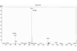 Image no. 1 for Procollagen II C-Terminal Propeptide (PIICP) (C-Term) peptide (Ovalbumin) (ABIN5666353)