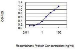 Detection limit for recombinant GST tagged WDR73 is 0. (WDR73 antibody  (AA 1-378))