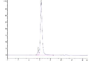 The purity of Biotinylated Human IL-15RA is greater than 95 % as determined by SEC-HPLC. (IL15RA Protein (His-Avi Tag,Biotin))
