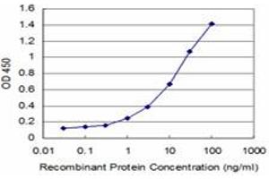 Detection limit for recombinant GST tagged HOXA5 is approximately 0. (HOXA5 antibody  (AA 171-270))