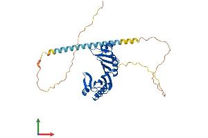 AlphaFold protein structure predicition of Human Recombinant TBP Protein, UniprotID P20226 (TBP Protein (AA 1-339) (His tag))