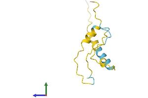 AlphaFold protein structure predicition of Mouse Recombinant Spata45 Protein, UniprotID Q9CVW4 (C1orf227 Protein (AA 1-97) (His tag))