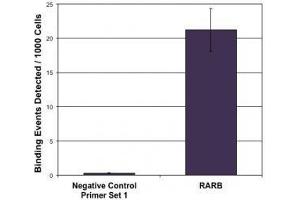 LXR-β pAb tested by ChIP-qPCR. (NR1H2 antibody  (N-Term))