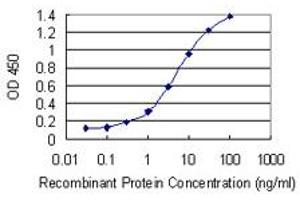 Detection limit for recombinant GST tagged RNF212 is 0. (RNF212 antibody  (AA 133-232))