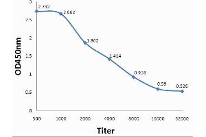 Antigen: 0. (Pleiotrophin antibody  (AA 101-168))