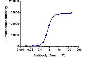 Mouse CDH6 / K-Cadherin HEK293 Cell Line were stained with HKT288 and negative control protein respectively, washed and then followed by PE and analyzed with FACS,EC50=0.