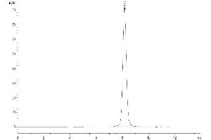 The purity of Cynomolgus GUCY2C is greater than 95 % as determined by SEC-HPLC. (GUCY2C Protein (AA 24-430) (His tag))