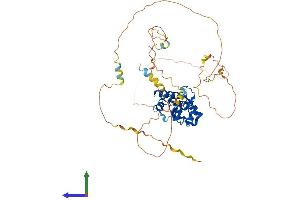 AlphaFold protein structure predicition of Human Recombinant CDC25A Protein, UniprotID P30304
