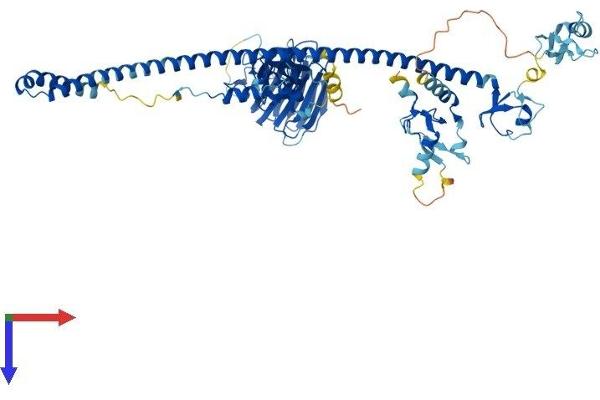 MID1 Protein (AA 1-667) (His tag)