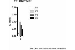 Application: ChIPSample Type: mouse liver tissueChromatin Used: 100ug tissueAntibody Used: 10ug  Image Submitted by: Joanna DiSpirito University of Pennsylvania (THRB antibody  (N-Term))