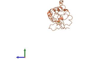 AlphaFold protein structure predicition of Human Recombinant KRTAP4-11 Protein, UniprotID Q9BYQ6