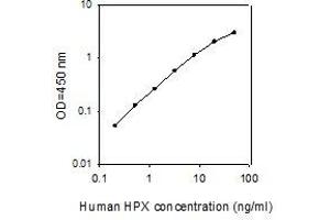 ELISA image for Hemopexin (HPX) ELISA Kit (ABIN4883218) (Hemopexin ELISA Kit)