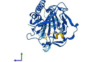 Protein Structure (PS) image for Phytanoyl-CoA Dioxygenase Domain Containing 1 (PHYHD1) (AA 1-291) protein (His tag) (ABIN7550733)