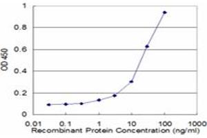 Detection limit for recombinant GST tagged RBP3 is approximately 1ng/ml as a capture antibody. (RBP3 antibody  (AA 1149-1246))