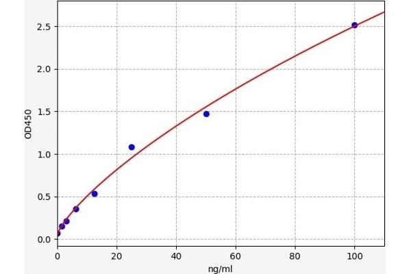 FGA ELISA Kit