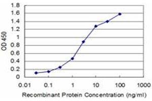Detection limit for recombinant GST tagged BOLL is approximately 0. (BOLL antibody  (AA 185-283))