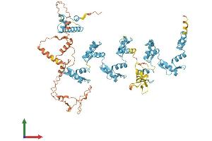 Protein Structure (PS) image for RB-Associated KRAB Zinc Finger (RBAK) (AA 1-714) protein (His tag) (ABIN7551254)
