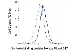 Validation of Syntaxin binding protein 1 knockdown using flow cytometry.
