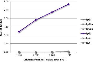 ELISA plate was coated with purified mouse IgG1, IgG2a, IgG2b, IgG3, IgM, and IgA. (Rat anti-Mouse IgG3 Antibody (Biotin))