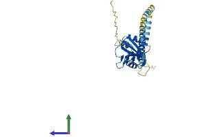AlphaFold protein structure predicition of Mouse Recombinant Klra5 Protein, UniprotID Q60652 (Klra5 Protein (AA 1-266) (His tag))