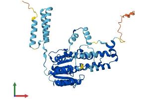 Protein Structure (PS) image for Hydroxysteroid (11-Beta) Dehydrogenase 2 (HSD11B2) (AA 1-405) protein (His tag) (ABIN7547113)