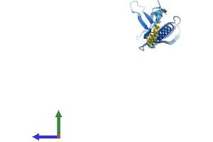 Protein Structure (PS) image for Pleckstrin Homology-Like Domain, Family A, Member 2 (PHLDA2) (AA 1-152) protein (His tag) (ABIN7550794)