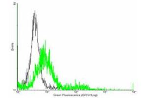 Flow Cytometry (FACS) image for anti-T-Cell Lymphoma Invasion and Metastasis 2 (TIAM2) (AA 1-626) antibody (ABIN525644)