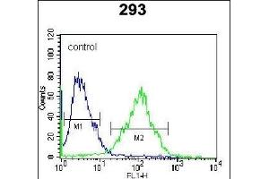 RS2 Antibody (C-term) (ABIN6242575 and ABIN6577319) flow cytometric analysis of 293 cells (right histogram) comred to a negative control cell (left histogram). (PARS2 antibody  (C-Term))