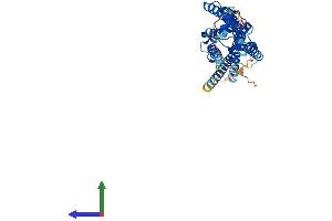 Protein Structure (PS) image for Lysophosphatidic Acid Receptor 1 (LPAR1) (AA 1-364) protein (His tag) (ABIN7554417)