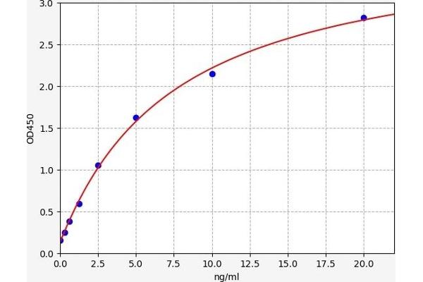 SLC40A1 ELISA Kit