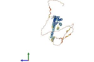 AlphaFold protein structure predicition of Human Recombinant GJA3 Protein, UniprotID Q9Y6H8