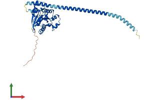 AlphaFold protein structure predicition of Human Recombinant GIMAP2 Protein, UniprotID Q9UG22 (GIMAP2 Protein (AA 1-337) (His tag))