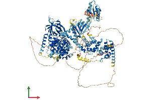AlphaFold protein structure predicition of Mouse Recombinant Tbc1d9b Protein, UniprotID Q5SVR0 (TBC1D9B Protein (AA 1-1263) (His tag))