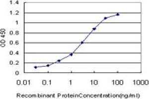 Detection limit for recombinant GST tagged RORB is approximately 0. (RORB antibody  (AA 136-224))