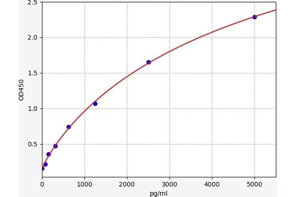 JAK3 ELISA Kit