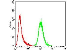 Flow Cytometry (FACS) image for anti-NADPH Oxidase 4 (NOX4) (AA 210-310) antibody (ABIN5872374) (NADPH Oxidase 4 antibody  (AA 210-310))