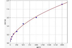 Typical standard curve (TNNI2 ELISA Kit)