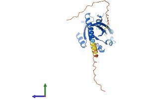 AlphaFold protein structure predicition of Mouse Recombinant Rab33a Protein, UniprotID P97950