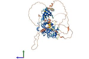 AlphaFold protein structure predicition of Human Recombinant MAPK4 Protein, UniprotID P31152