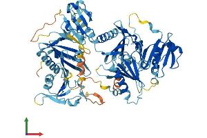 AlphaFold protein structure predicition of Human Recombinant SCIN Protein, UniprotID Q9Y6U3